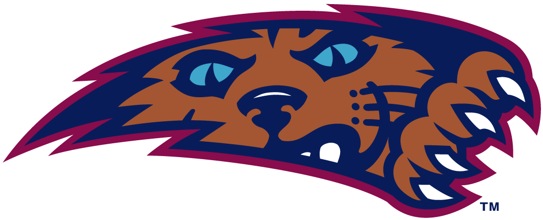 Villanova Wildcats Alternate Logo - NCAA Division I (u-z) (NCAA 