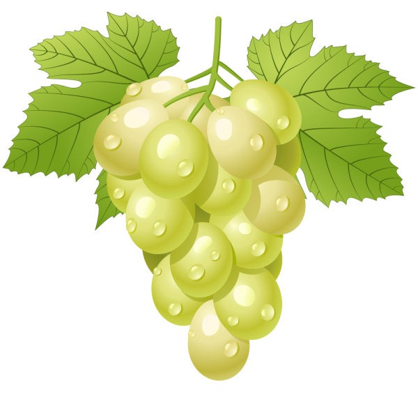 Fruit Grapes Cartoon Water Drop – Graphics Collection | My Free 
