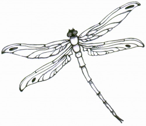 Dragonfly drawing on Clipart library | Dragonfly Tattoo, Dragonflies and 