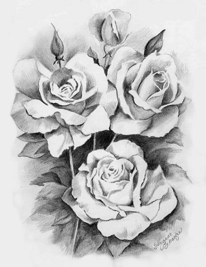 Realistic rose flower with leaf and berries sketch