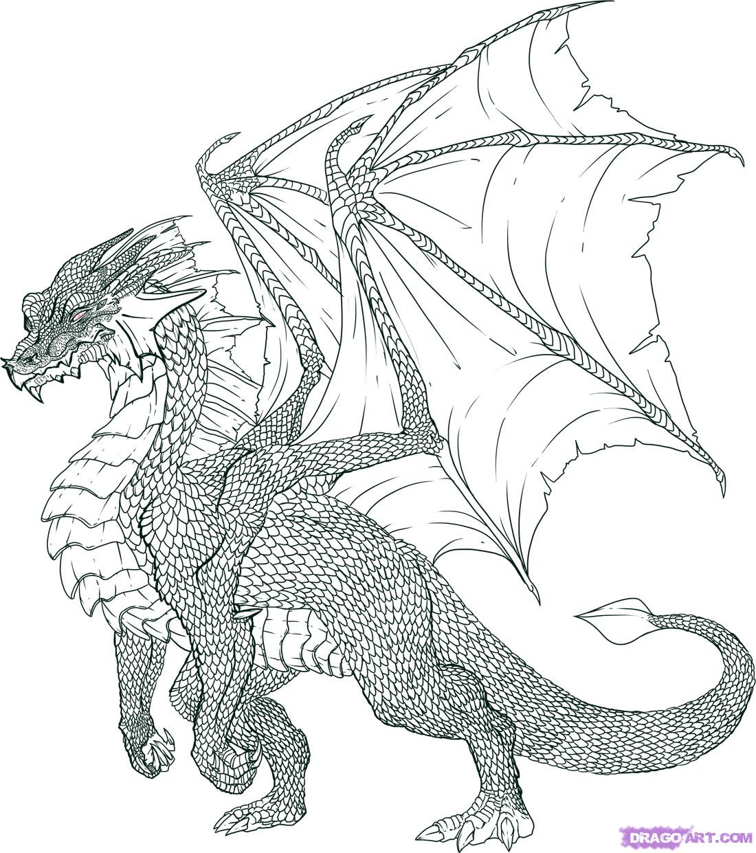 Dragon Drawing – Step-by-Step Dragon Illustration Tutorial