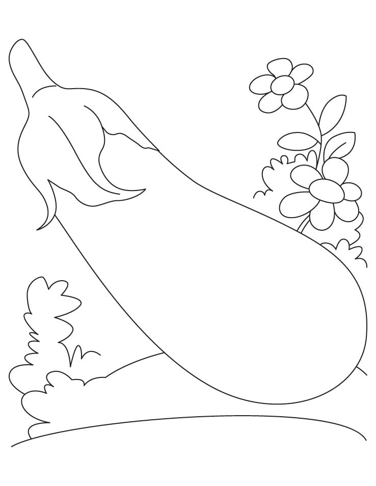 brinjal plant Colouring Pages (page 2)