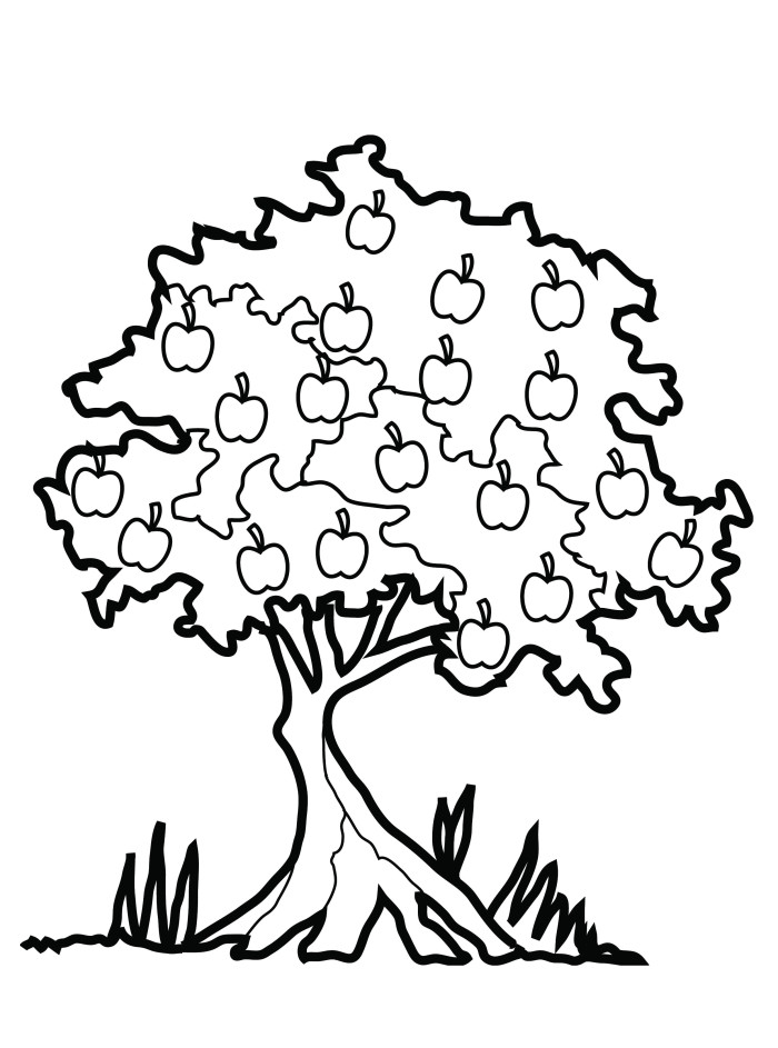 Printable Apple Tree Coloring Pages - Tree Coloring Pages : Free 