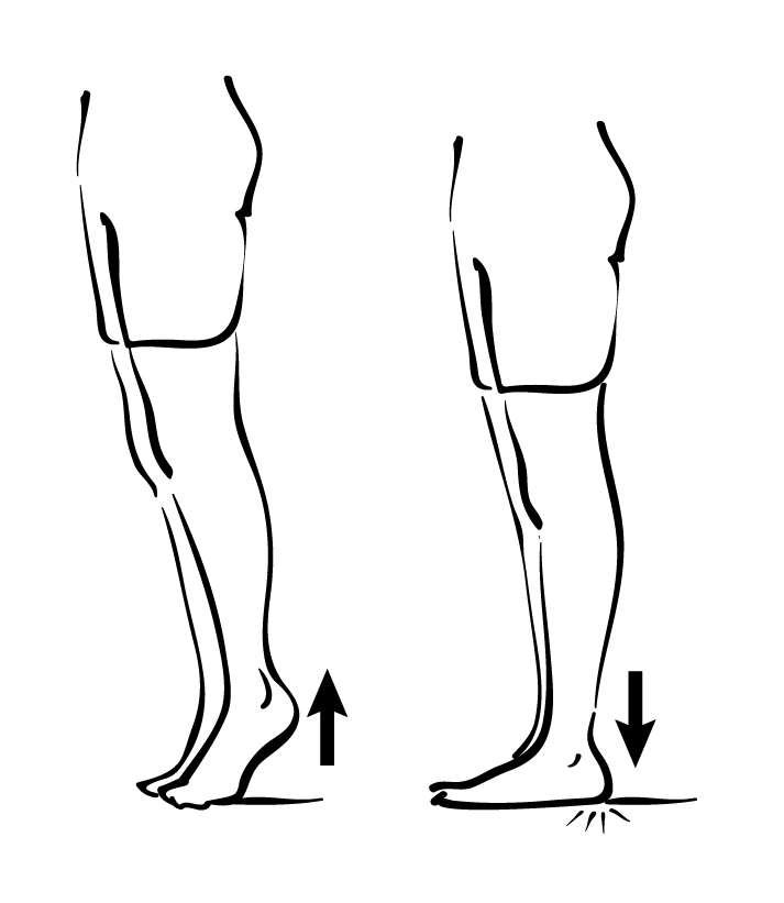 Supine-lying leg lift.  Bridge with heel raise on roller. Goal:... |  Download Scientific Diagram