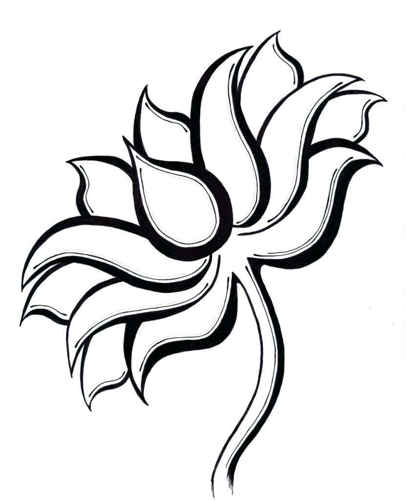 Wednesday Wonders with Sydney Aaliyah | Lotus drawing, Easy flower drawings,  Lotus flower drawing