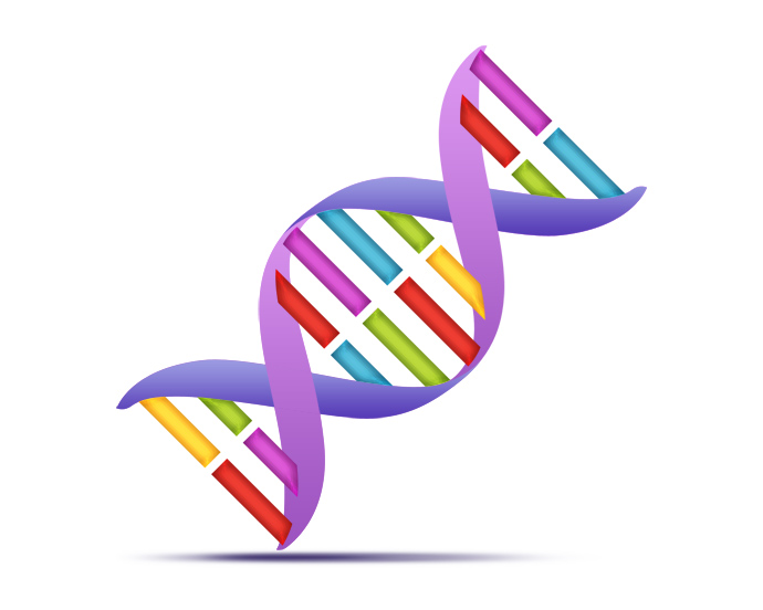 DNA Strands,Science and Medicine Icon | Webby Dzine | Download 