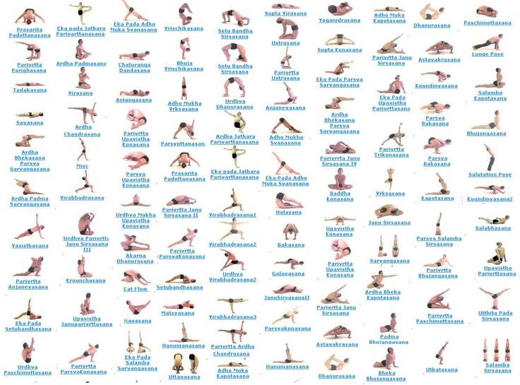 Yoga Chart - 3 : Reference Educational Wall Chart by Dreamland Publica
