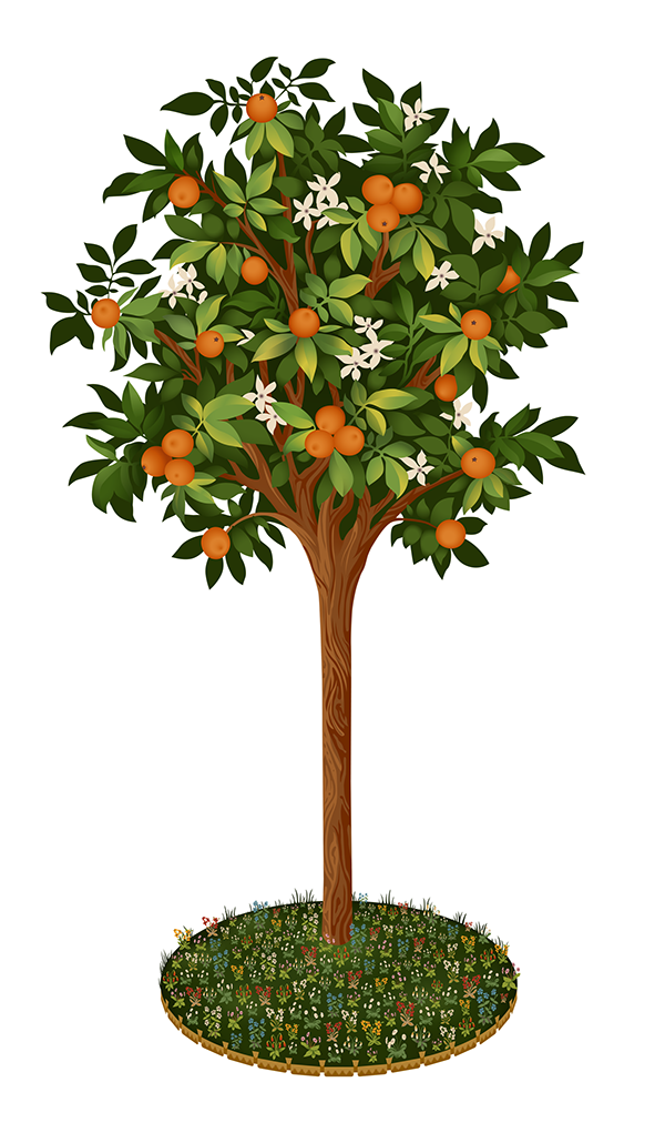 Vector Orange Tree on Behance