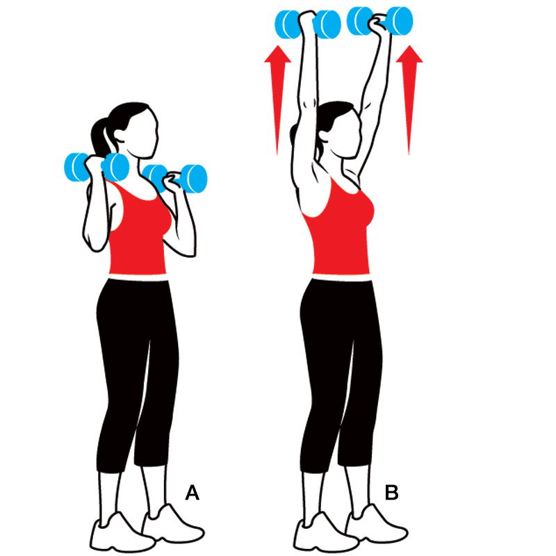 dumbbell shoulder press - Clip Art Library