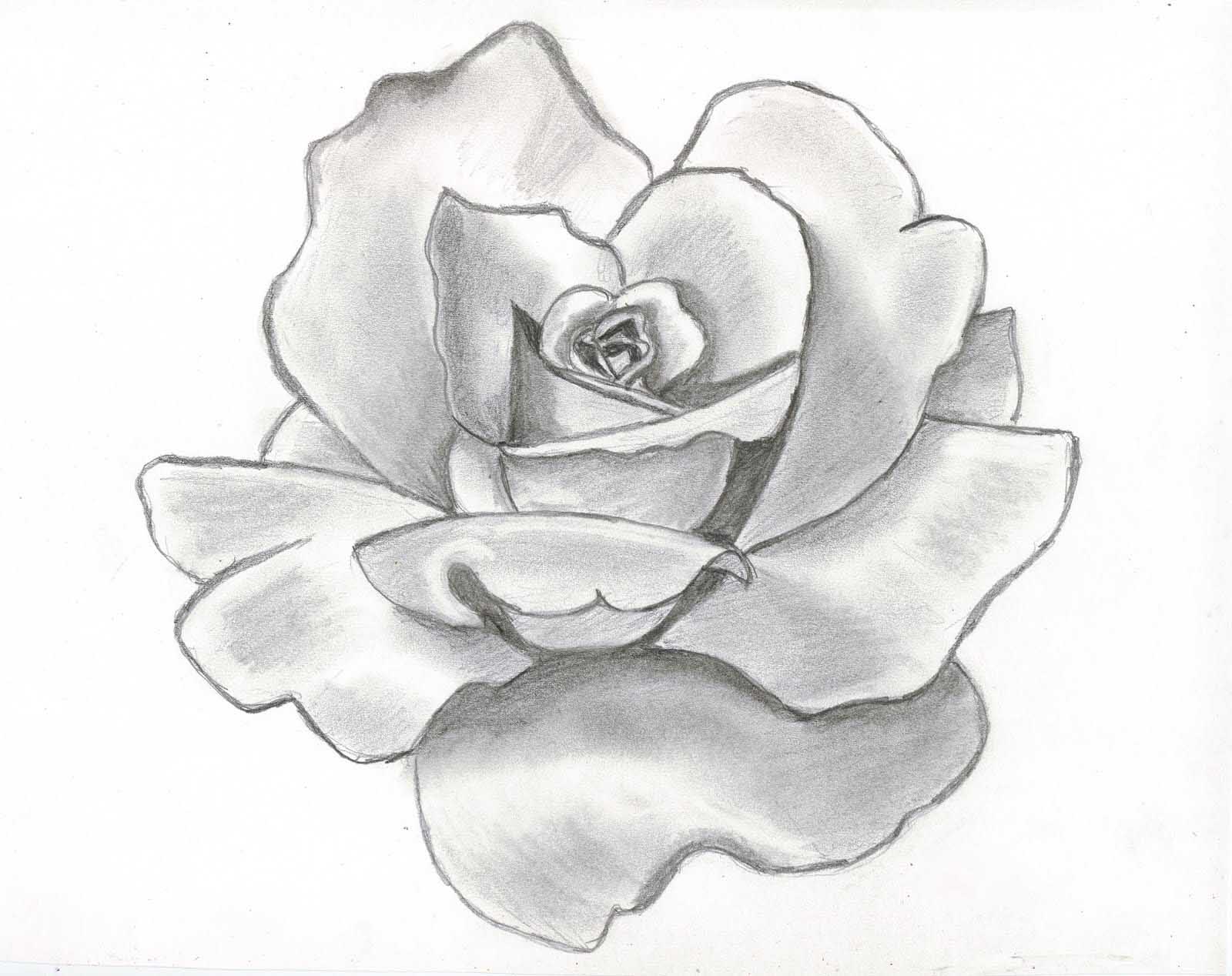 Hand Drawn Floral Doodle Background. Decorative Flower for Your Design  Stock Vector - Illustration of ornament, doodle: 141797668