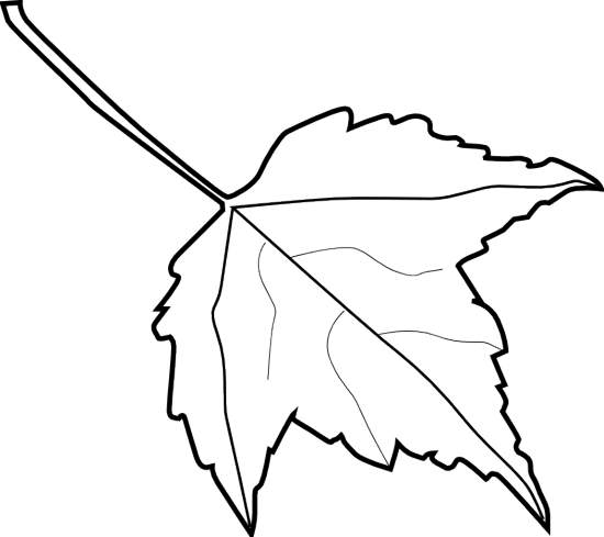Leaf Outline Clip Art Black And White - Clipart library