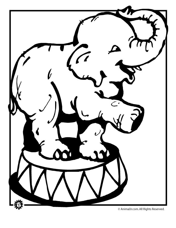 Circus Elephant Clip Art