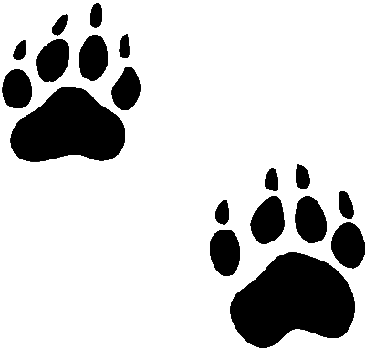 Grizzly Bear Paw Print Clipart | Clipart library - Free Clipart Images