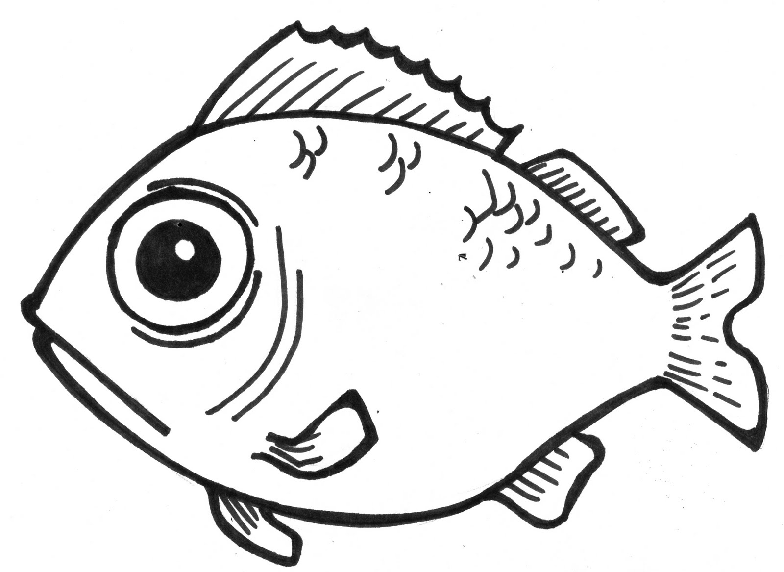 Line drawing of a fish | Fish drawings, Fish sketch, Drawings