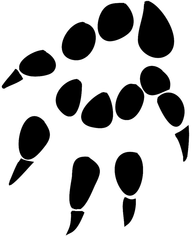 Free Paw Print Pictures, Download Free Paw Print Pictures png images