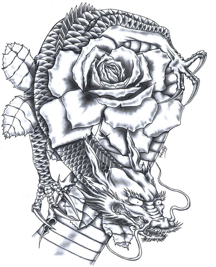 Dragon Ball Logo Rose Petals Falling Dragon Tattoo Rose Border Rose  Tattoo Red Rose 352302  Free Icon Library