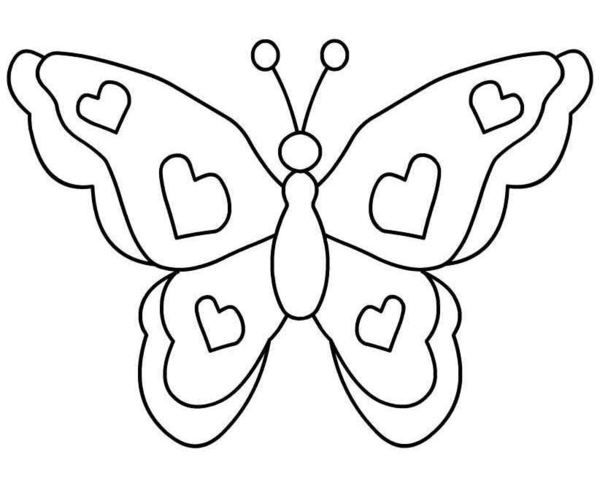 Butterfly Clip Art Black And White Outline Wallpapers | Img Need