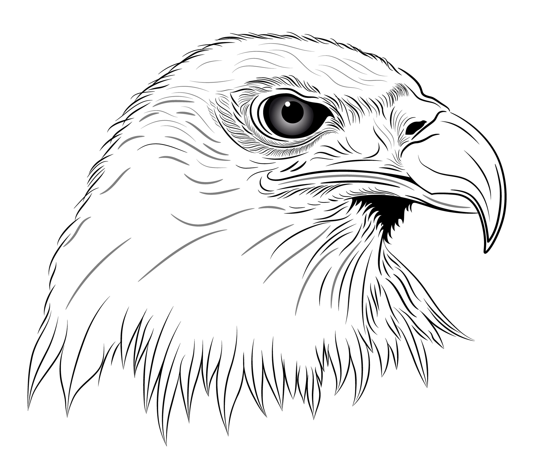 drawing eagle head tattoo - Clip Art Library