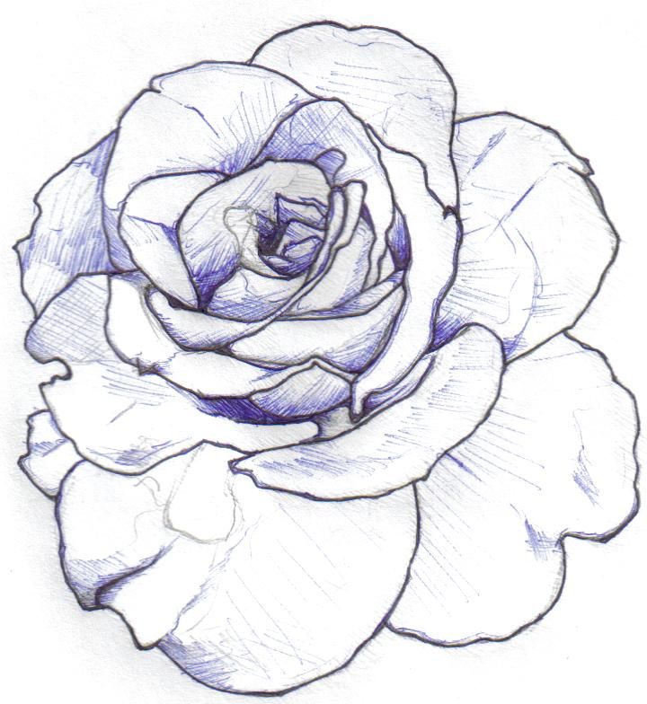 Rose Tattoo Design Outline Clip Art Library
