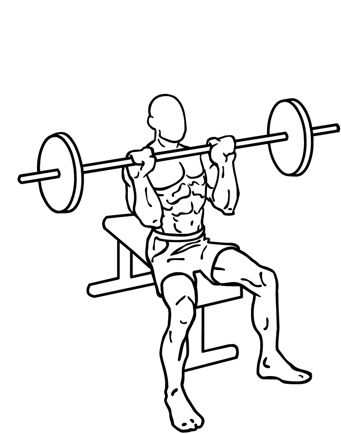 Free Barbell Images, Download Free Barbell Images png images, Free ...