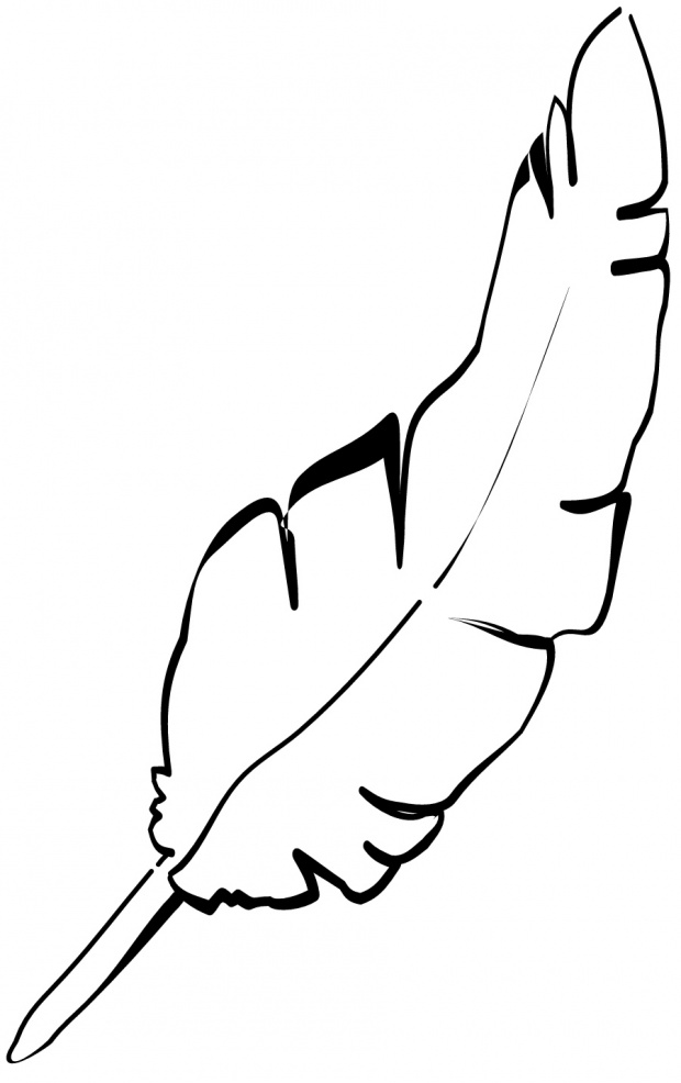 Quill Pen Feather Illustration - Classic Writing Tool Art
