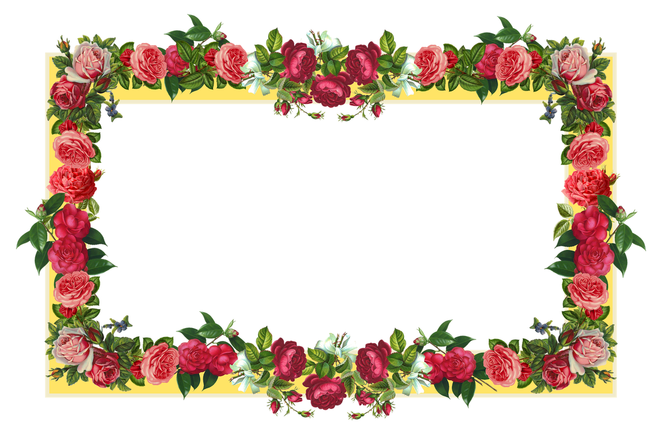 Flower Frames Design - Clipart library