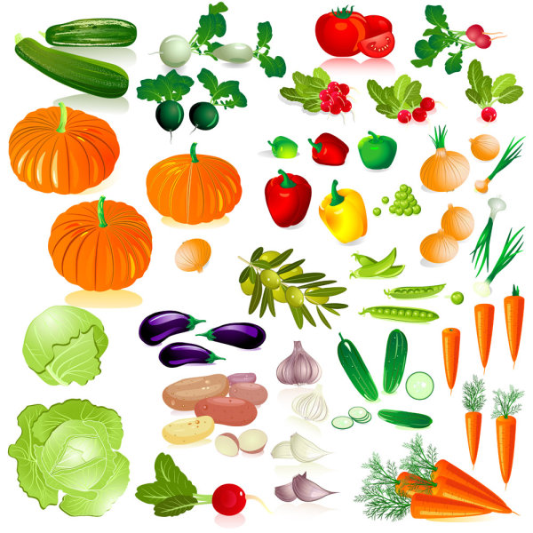 free food vector clipart