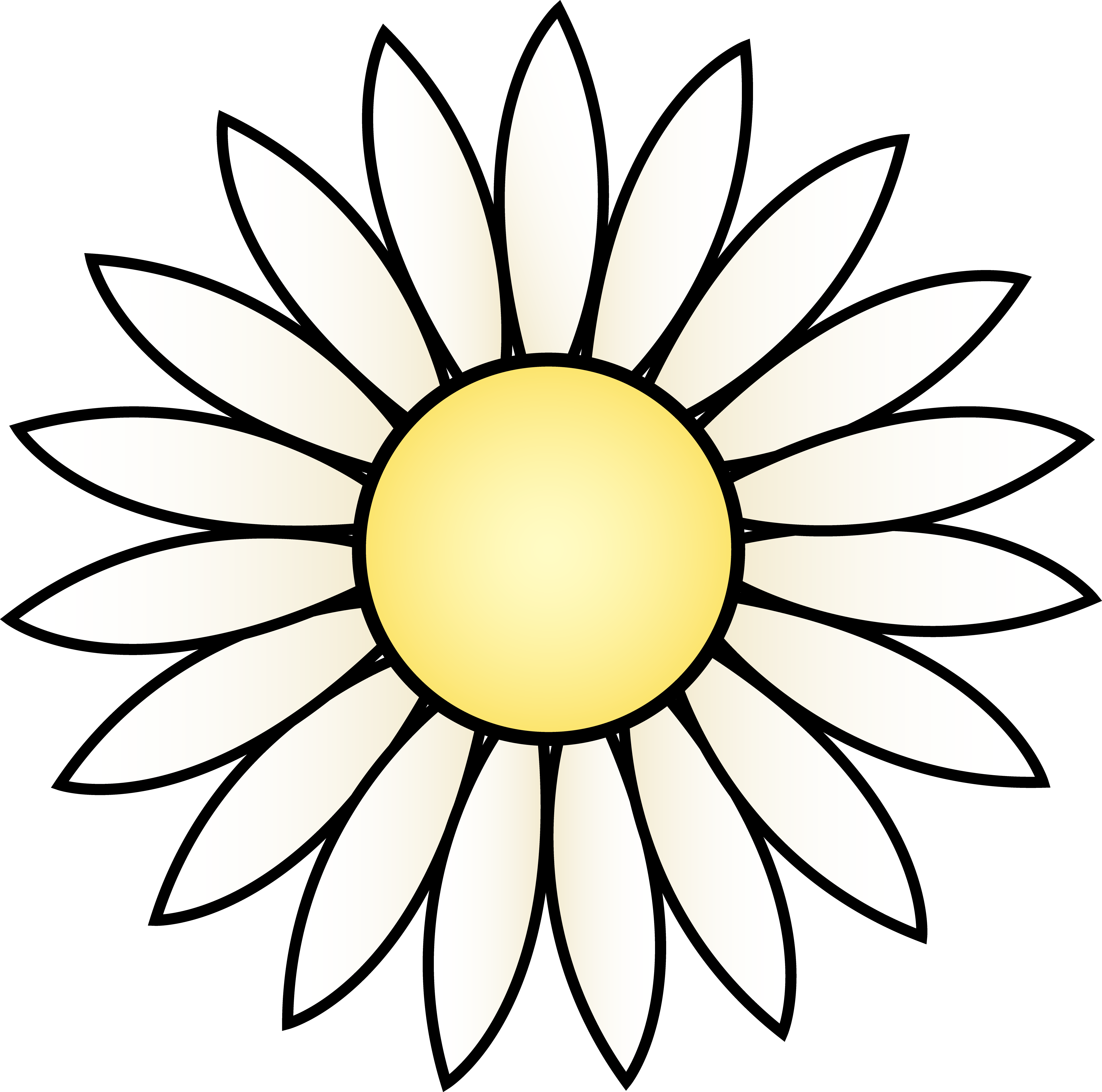 Simple Daisy Flower Illustration - Free Vector Graphic for Design