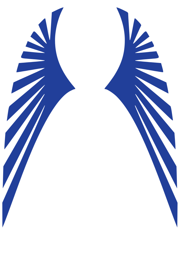 Blue Abstract Wing Logo - Modern Vector Design for Branding