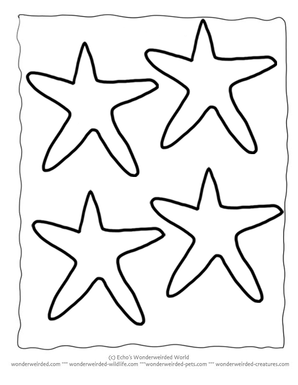 Easy DiY Starfish Craft for Kids with Free Template – Simple Mom