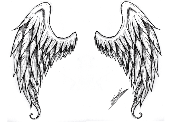 Cartoon angel wings drawing wing with halo cute Vector Image