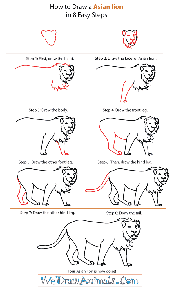 Free How To Draw A Lion Step By Step, Download Free How To Draw A Lion ...