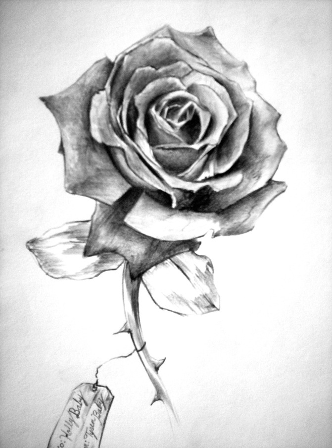Rose Pencil Drawing | 