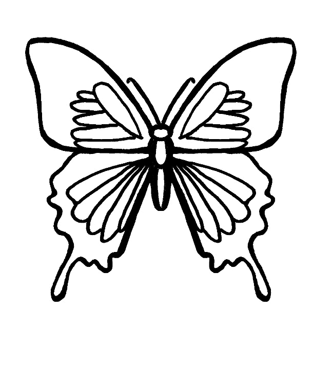 butterfly coloring pages black and white | Free Coloring Page 