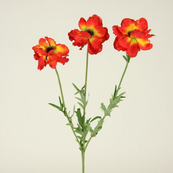 Red and Yellow Poppy Flowers - Elegant Floral Display for Home & Garden