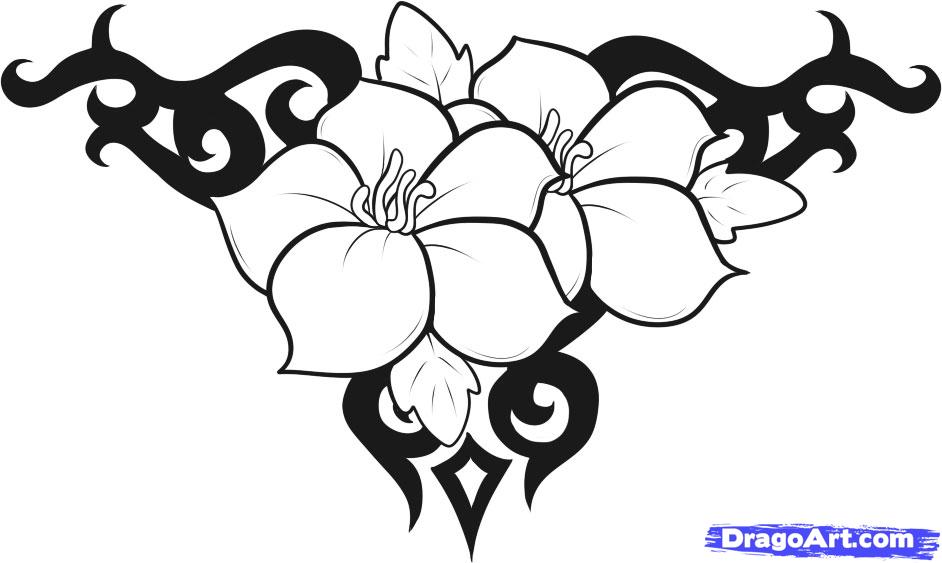 Floral Coloring Pages,Flower Line Arts,Silhouette Art Line Floral Patterns,Outline  Black And White Flower Drawing,Contour Botanical Graphics,Floral Design On  White Background,Basic Flower Design 17771596 Vector Art at Vecteezy