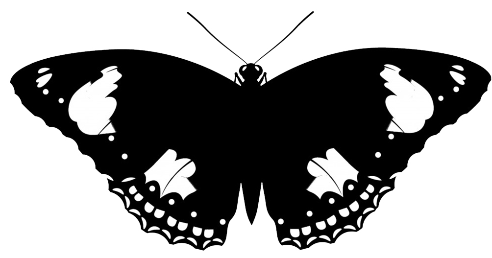 Black Butterfly Silhouette with White Wing Markings - Vector Illustration