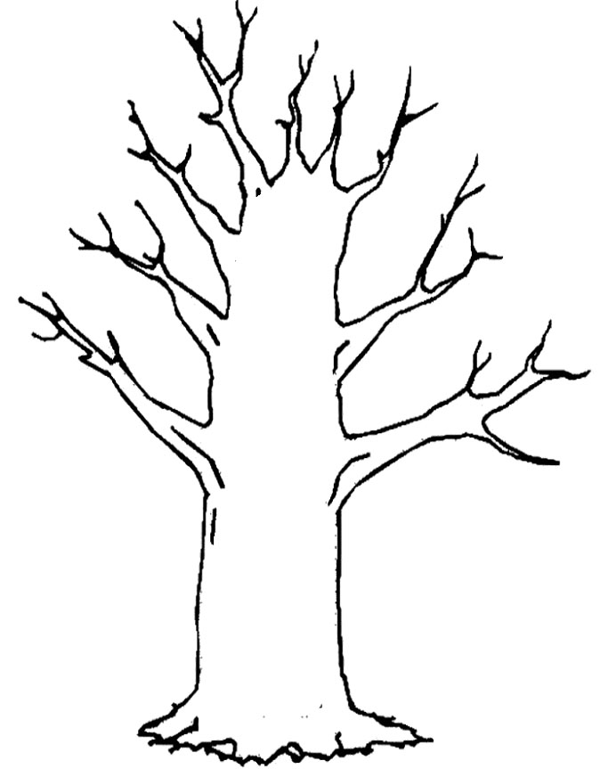 tree trunk with no leaves Colouring Pages