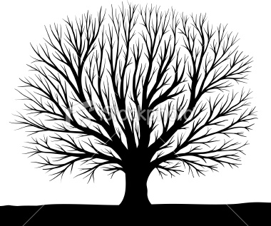 Tree Silhouette - Clipart library