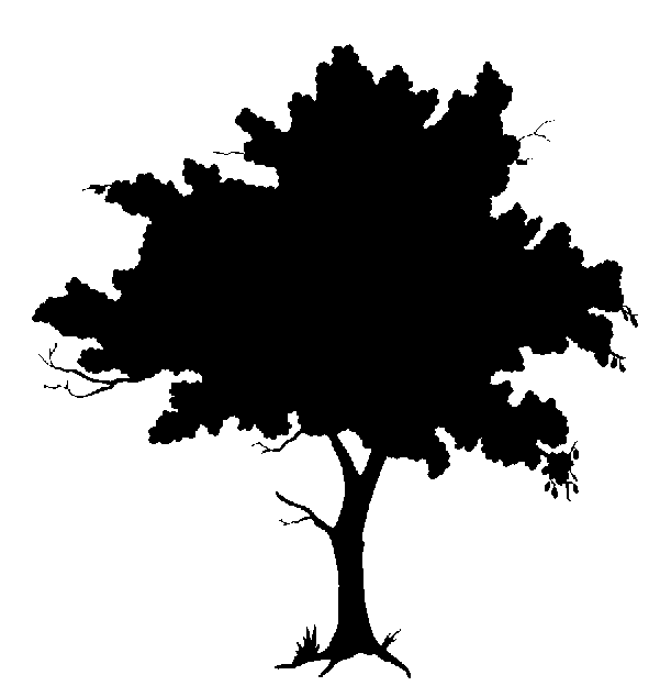 Oak Tree Silhouette | Clipart library - Free Clipart Images