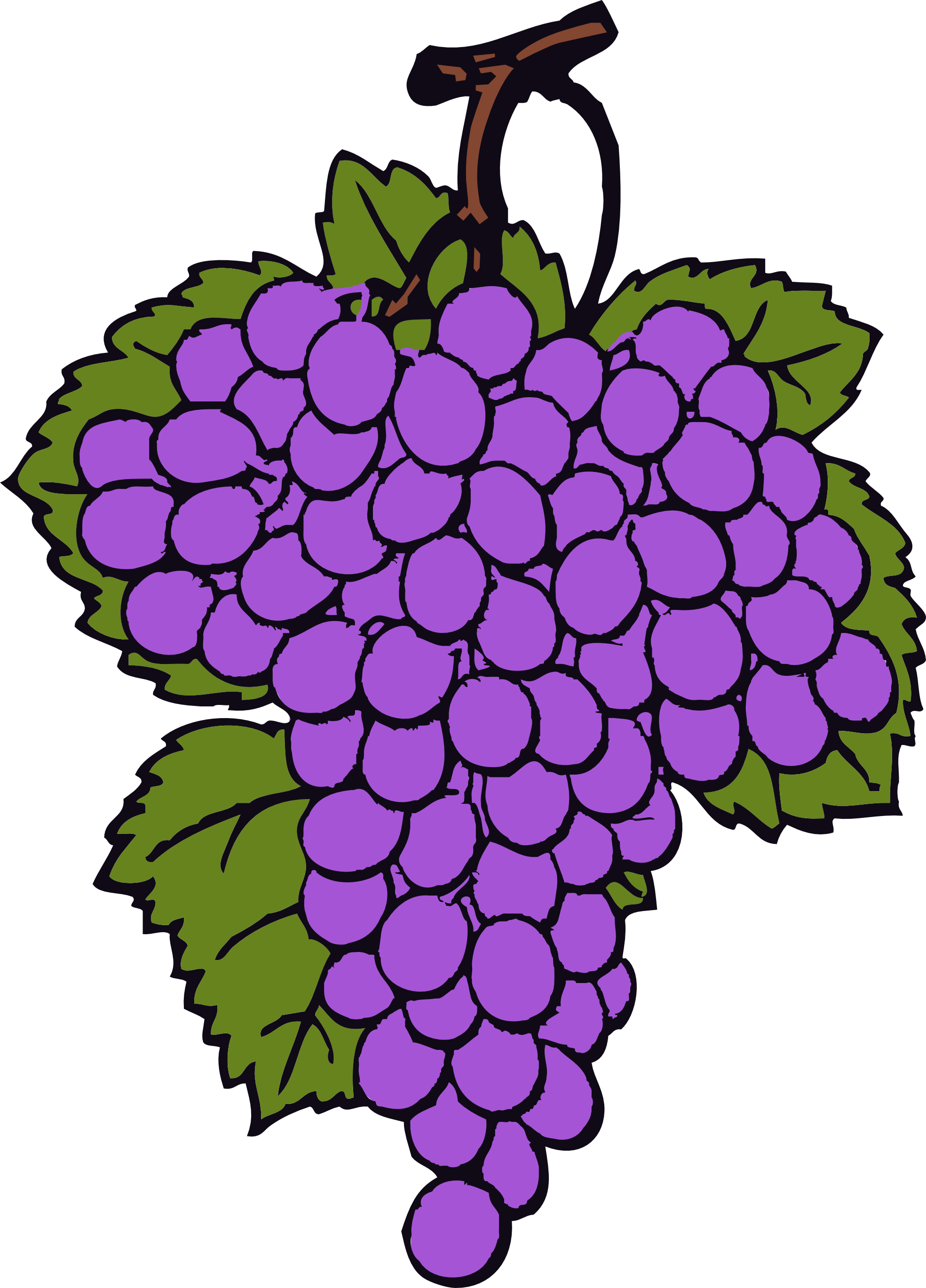 Wine Grapes | Clipart library - Free Clipart Images
