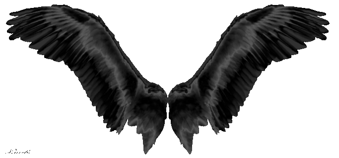 Angel Wings Png Gif
