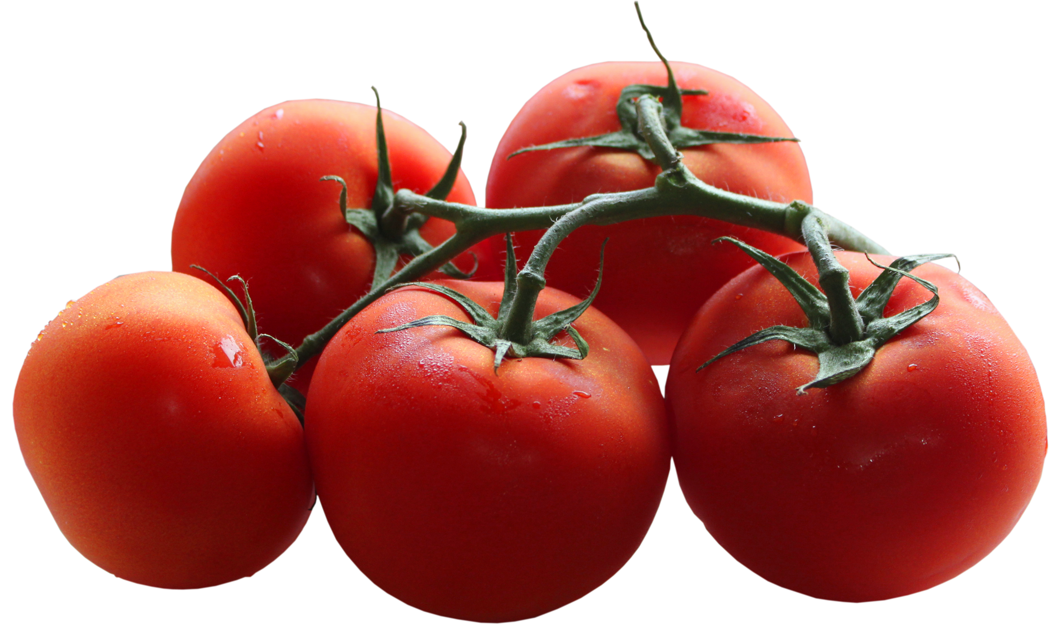 Tomatoes Branch PNG Picture