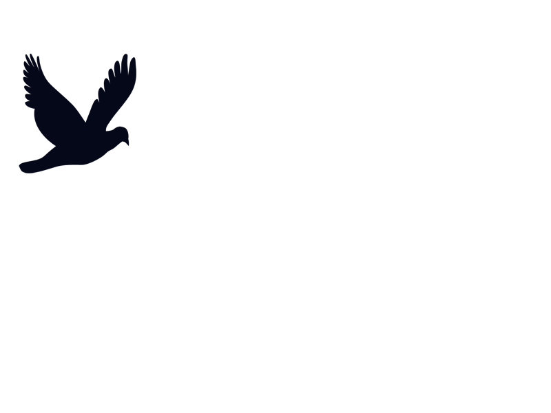 flying dove animated gif