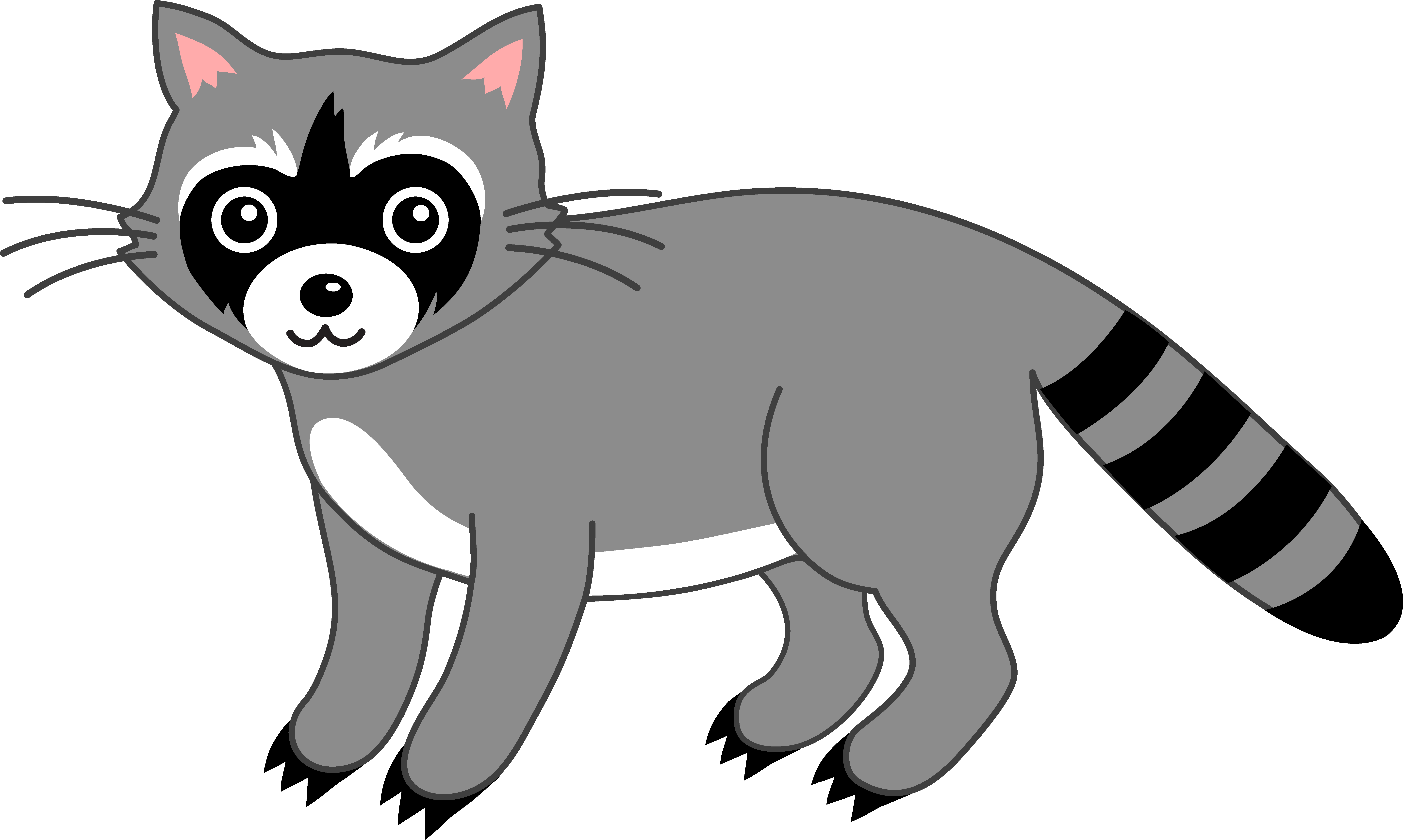 Cute Grey Raccoon - Free Clip Art