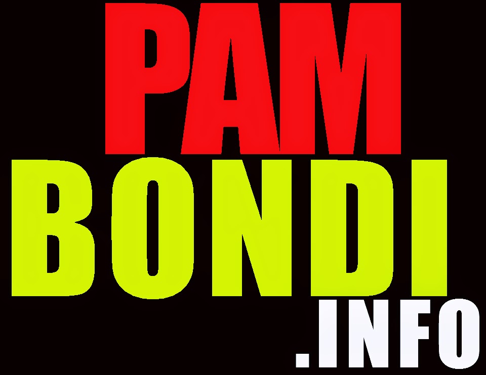Bold red "PAM" and lime green "BONDI" text with white ".INFO" on black background, representing a domain brand logo.