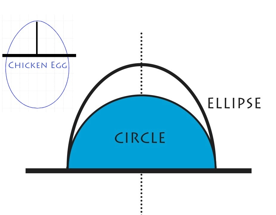Diagram comparing a chicken egg shape to a circle and ellipse, illustrating geometric approximations of egg curvature.