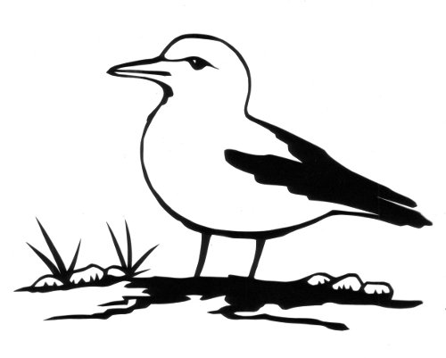 Sea Gull Permalink Page | Stencilletta Papercutting Blog