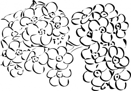 Floral Line Art Illustration - Free Vector-Style Flower Sketch