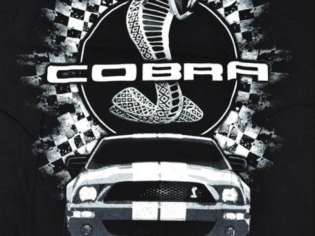 Cobra Snake Wall Flag - SVT Store